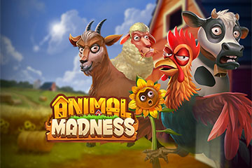 Animal Madness